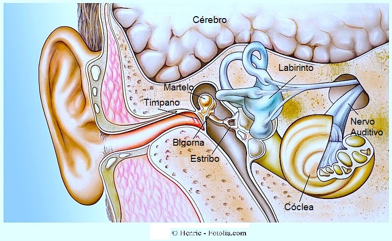 dor no ouvido direito ou esquerdo remédios caseiros naturais e sintomas