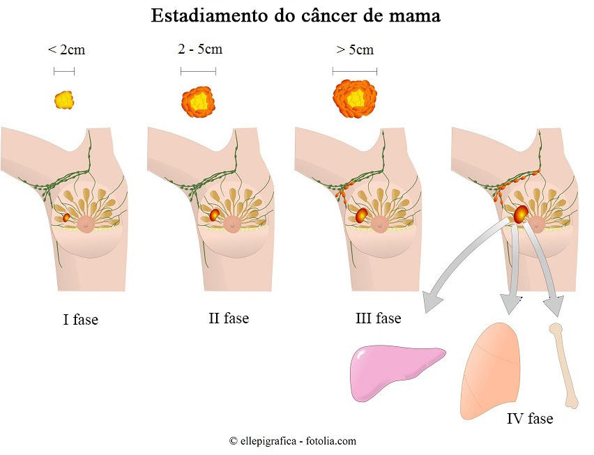 Mama mama sem parar. Seno.